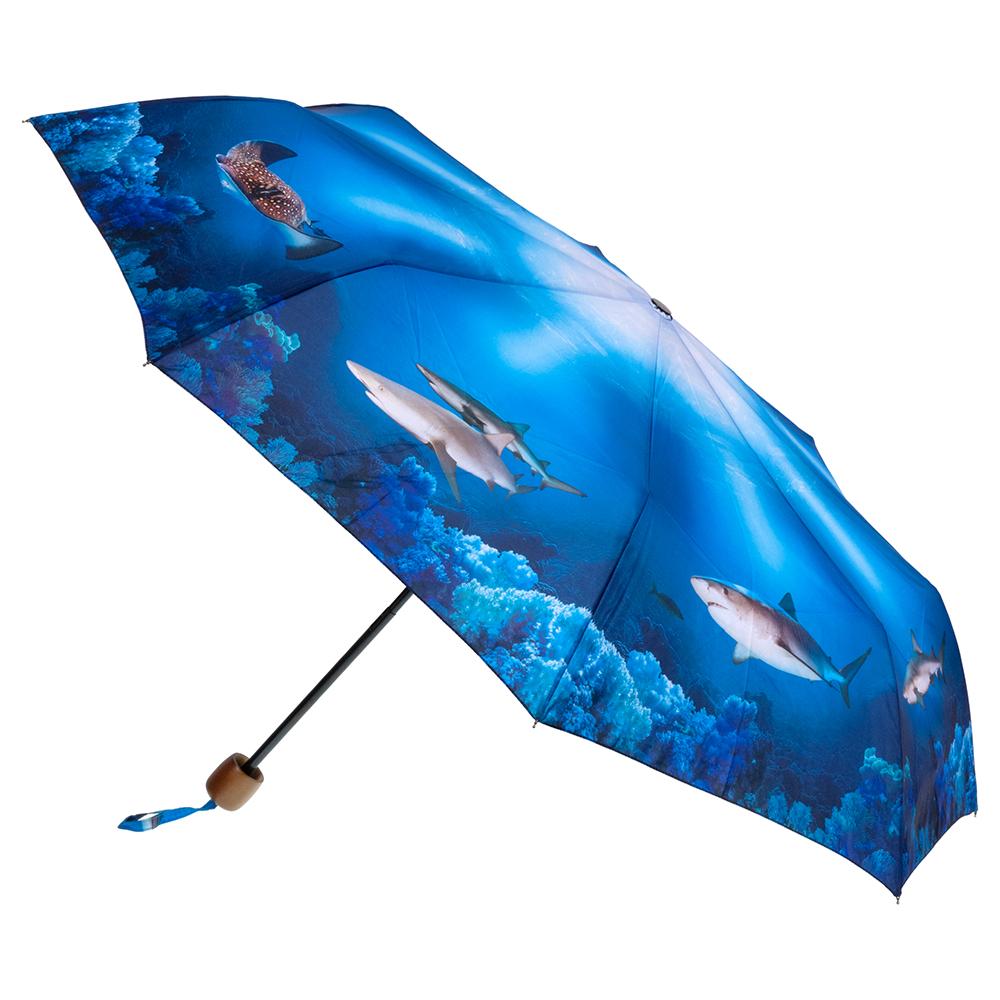 Clifton rPET Deluxe Mini Maxi Shark; CDU of 12