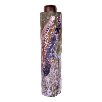 Clifton rPET Deluxe Mini Maxi Crocodile; CDU of 12