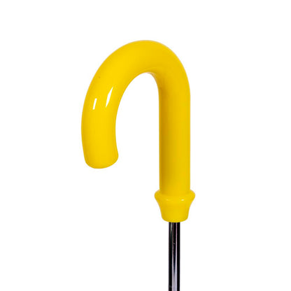 Once Upon A Time - Bee Story with clear viewing panel