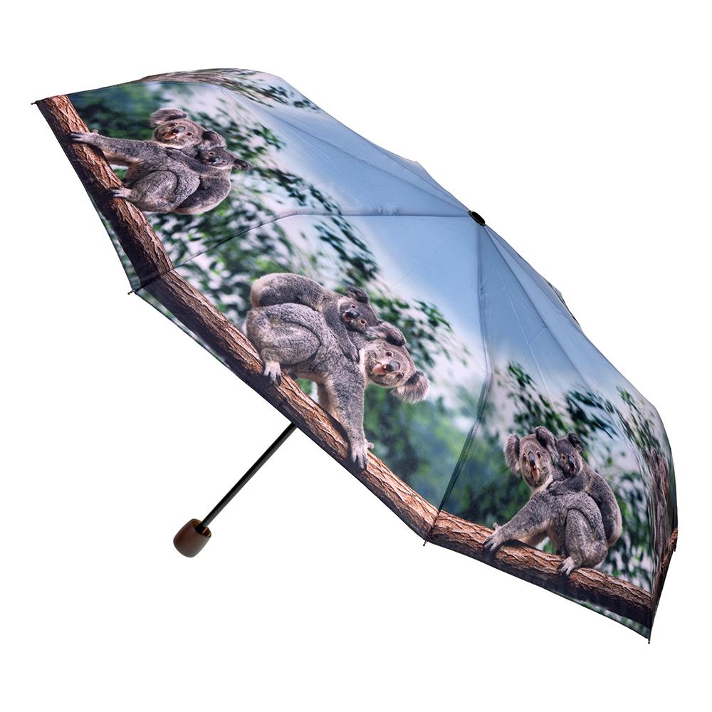 Clifton rPET Deluxe Mini Maxi Koala; CDU of 12